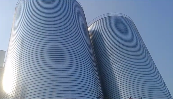 南谯2座混凝土高架卷板仓